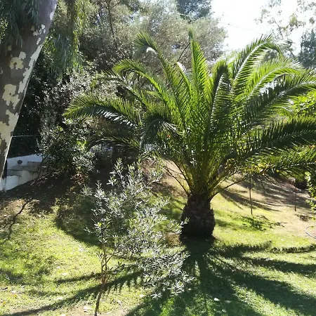 Louisa * Kanapitsa (Skiathos)